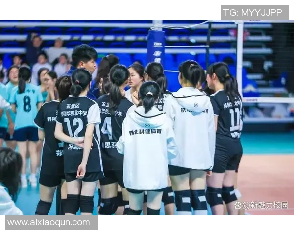 南京排球队在全国排球团队协作排行榜中荣获第七名的佳绩