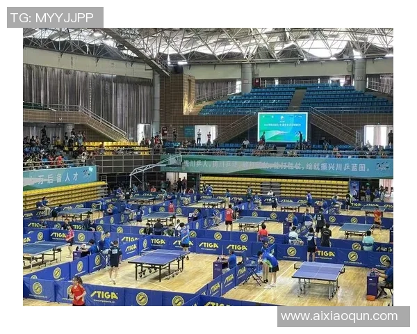 成都乒乓球队最新比赛经验分享TOP10助力乒乓球爱好者提升技巧